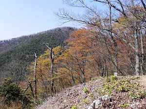 20110413odani (17).jpg